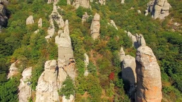 Stone rock needles stick out of the forest on the mountainside. birds eye view. — Stock Video