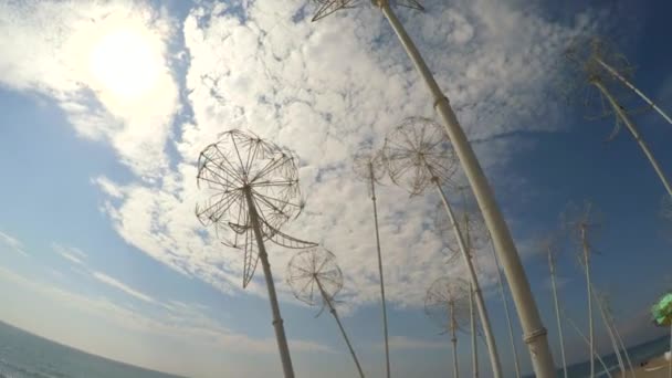 Grote witte metalen beelden van paardebloemen — Stockvideo