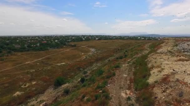 Un troupeau d'oiseaux vole près de la décharge 