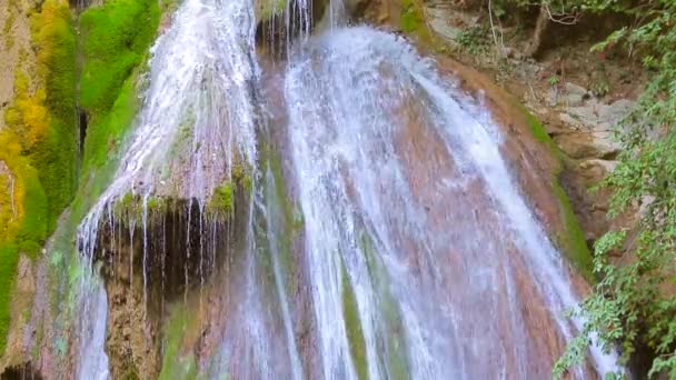 The water divided the water into small streams — Stock Video