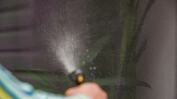 Lavar la ventana de la manguera — Vídeos de Stock