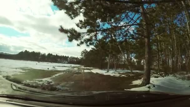 Carro dirigindo na floresta com neve — Vídeo de Stock