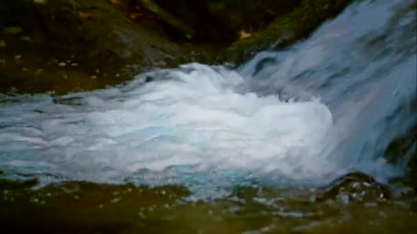 Fluxo rápido de um rio de montanha — Vídeo de Stock