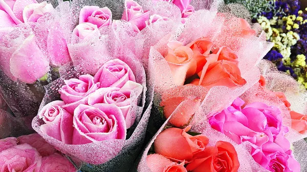 Όμορφα κόκκινα τριαντάφυλλα ιστοσελίδα κεφαλίδα - τρία κόκκινο τριαντάφυλλο κεφάλια στοιβάζονται στην αριστερή πλευρά σε ομιχλώδη ροζ ροδάκινο bokeh χρωματιστό φόντο με άφθονο χώρο αντίγραφο στη δεξιά πλευρά — Φωτογραφία Αρχείου