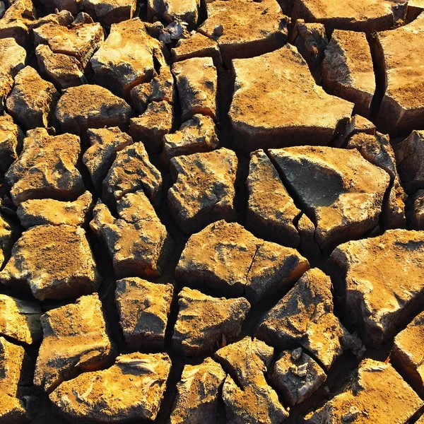 Grond gekraakt grond goud dier voetafdrukken op de grond — Stockfoto