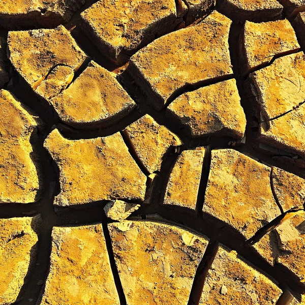 Oro molido agrietado en el suelo Huellas animales en el suelo —  Fotos de Stock