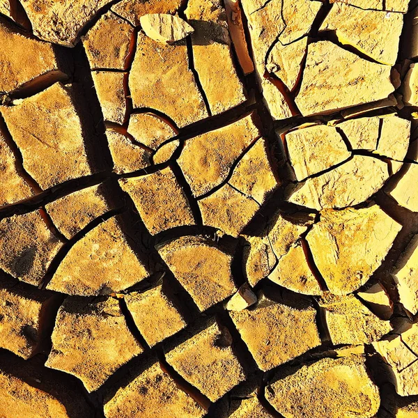 Kırık zemin zemin altın hayvan ayak yere — Stok fotoğraf