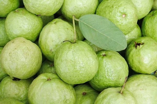Fruta de guayaba ecológica Tailandia — Foto de Stock