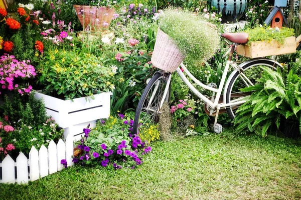 Vélos vintage dans le jardin fleur extérieur été . — Photo