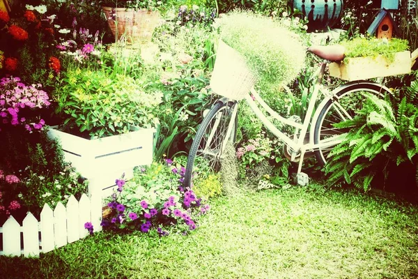 在花园里的花户外夏天老式自行车. — 图库照片
