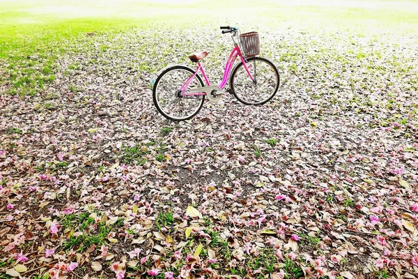 Vintage-rosa Fahrräder im Garten Blume Outdoor Sommerleben ist gut im Garten. — Stockfoto