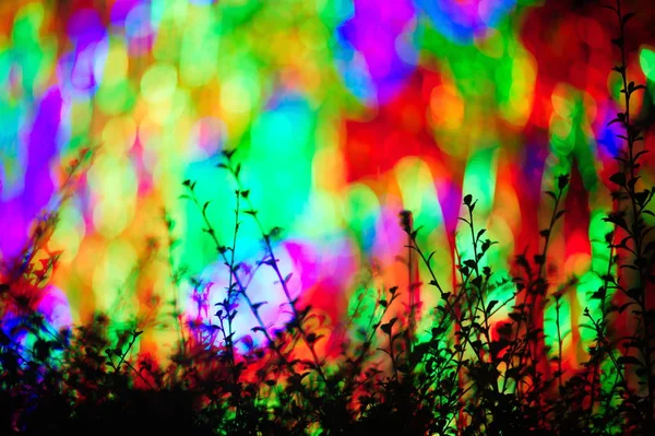 Farbe Bokeh Hintergrund — Stockfoto