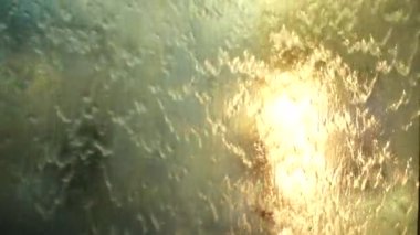 HD yemek yavaş su Perdeyi kapat kadar arka, plan