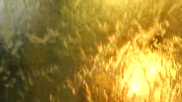 4 k vatten gardin närbild abstrakt, bakgrund — Stockvideo