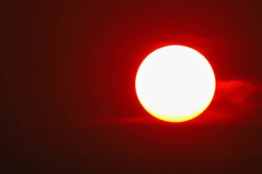 Kırmızı tam güneş doğa açık yaz                            