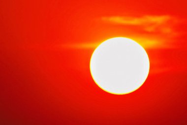 Kırmızı tam güneş doğa açık yaz                            