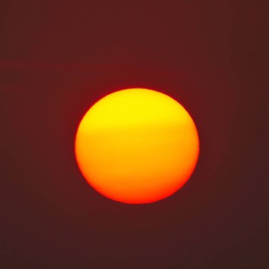 Kırmızı tam güneş doğa açık yaz                            