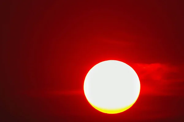 Vermelho Pleno Sol Natureza Verão Livre — Fotografia de Stock