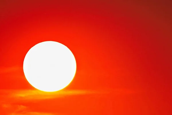 Vermelho Pleno Sol Natureza Verão Livre — Fotografia de Stock