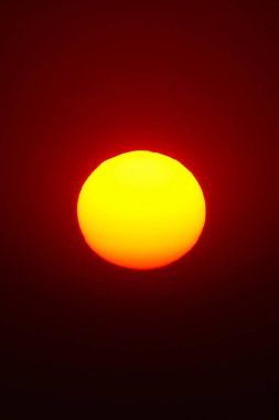  Kırmızı tam güneş doğa açık yaz              