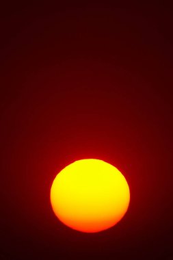  Kırmızı tam güneş doğa açık yaz              