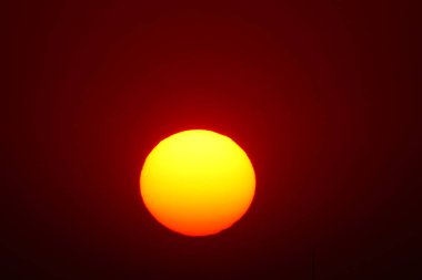  Kırmızı tam güneş doğa açık yaz              