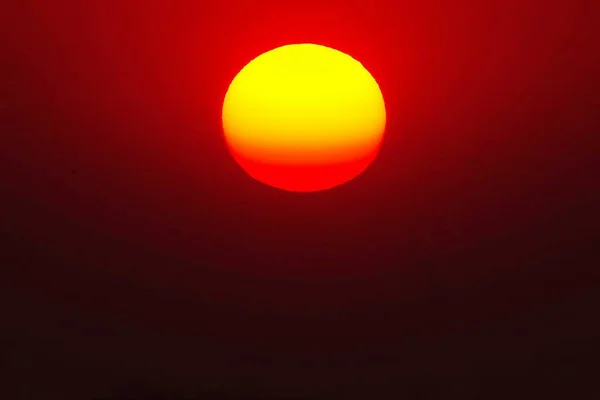 Vermelho Pleno Sol Natureza Verão Livre — Fotografia de Stock