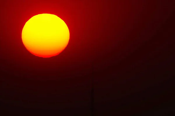 Roșu Plin Soare Natura Aer Liber Vară — Fotografie, imagine de stoc