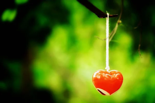 Heart Love Symbol Valentine Day — Stock Photo, Image