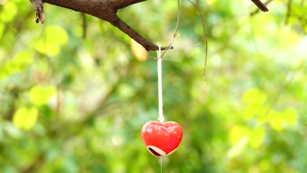 Serce Symbol Miłość Walentynki — Wideo stockowe