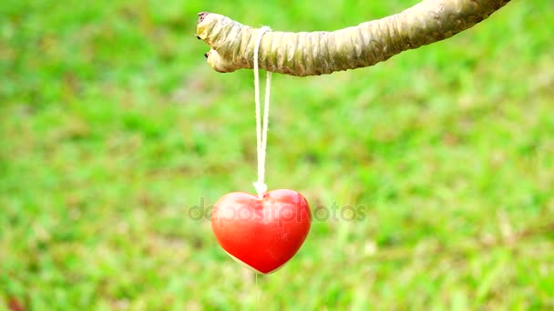 Hart Van Liefde Symbool Van Valentijn — Stockvideo