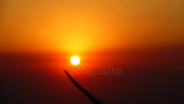 Super Lento Gaivotas Voar Belo Pôr Sol Céu Luz Solar — Vídeo de Stock