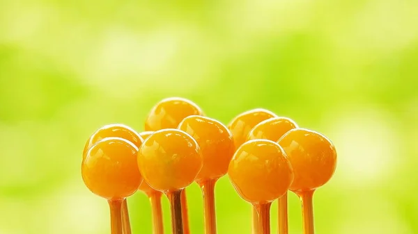 Thai Food Ball Plated Dessert Sweet — Stock Photo, Image