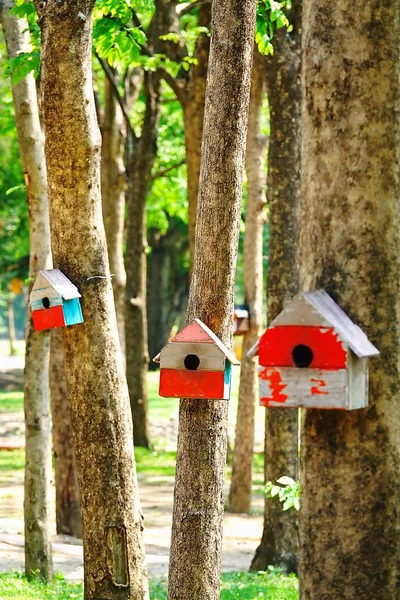 Houten Huis Kunstmatige Nest Van Eekhoorns Vogels Een Boom Een — Stockfoto