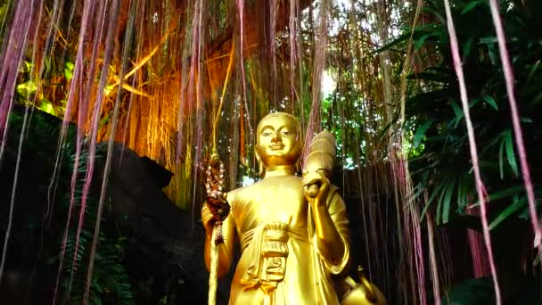 Buda Encuentra Debajo Del Árbol — Vídeo de stock