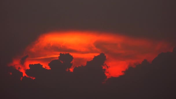 Grote Zon Zonsondergang Hemel Oranje Hemel Oranje Buiten Zomer Natuur — Stockvideo