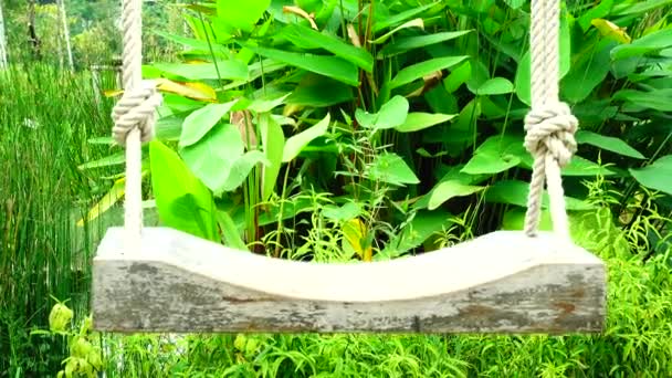 Oscilación Del Jardín Vintage Madera Vieja Colgando Árbol Grande Fondo — Vídeos de Stock