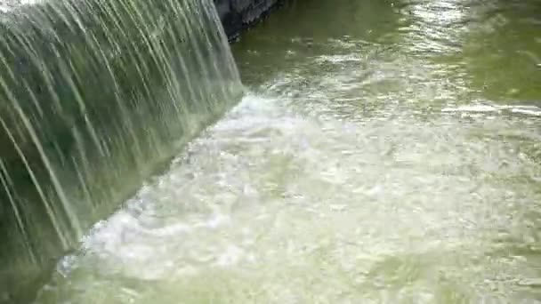 Barragem Mini Queda Água Natureza Backgound — Vídeo de Stock