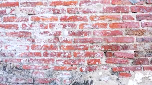 100年以上老砖墙复古室内设计背景和质感 — 图库视频影像