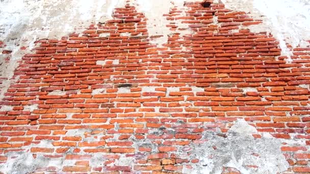 Älter Als 100 Jahre Alte Ziegelwand Vintage Innenarchitektur Hintergrund Und — Stockvideo