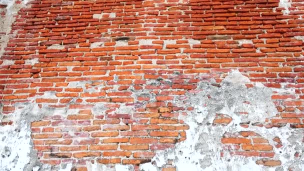 Más Antiguo Que 100 Años Edad Pared Ladrillo Vintage Diseño — Vídeo de stock