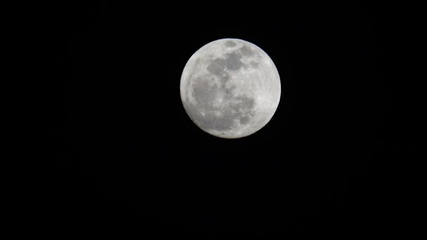4K月亮在夜晚的夜空中 — 图库视频影像