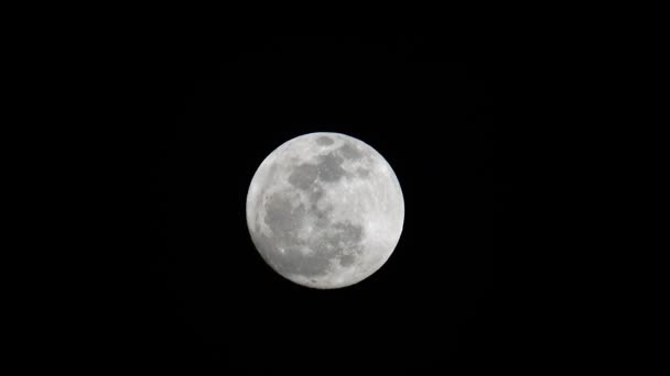 Lune Dans Nuit Ciel Sombre — Video