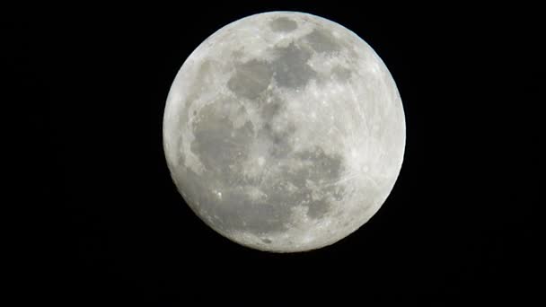 4K月亮在夜晚的夜空中 — 图库视频影像
