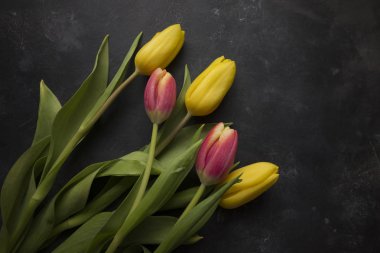 pembe ve sarı laleler