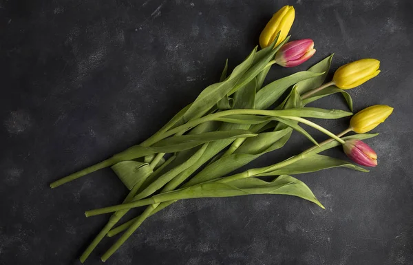 pembe ve sarı laleler