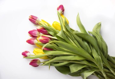 Sarı ve pembe laleler.