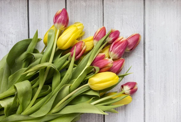 Roze en gele tulpen op wit hout — Stockfoto