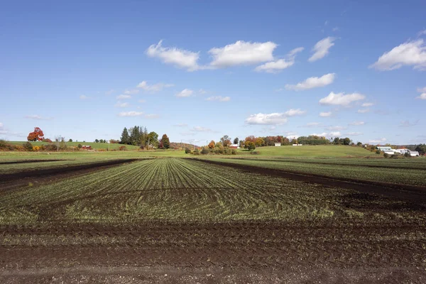 Landsbygdsgård på hösten — Stockfoto