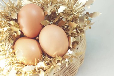 Paskalya yumurta Festivali.